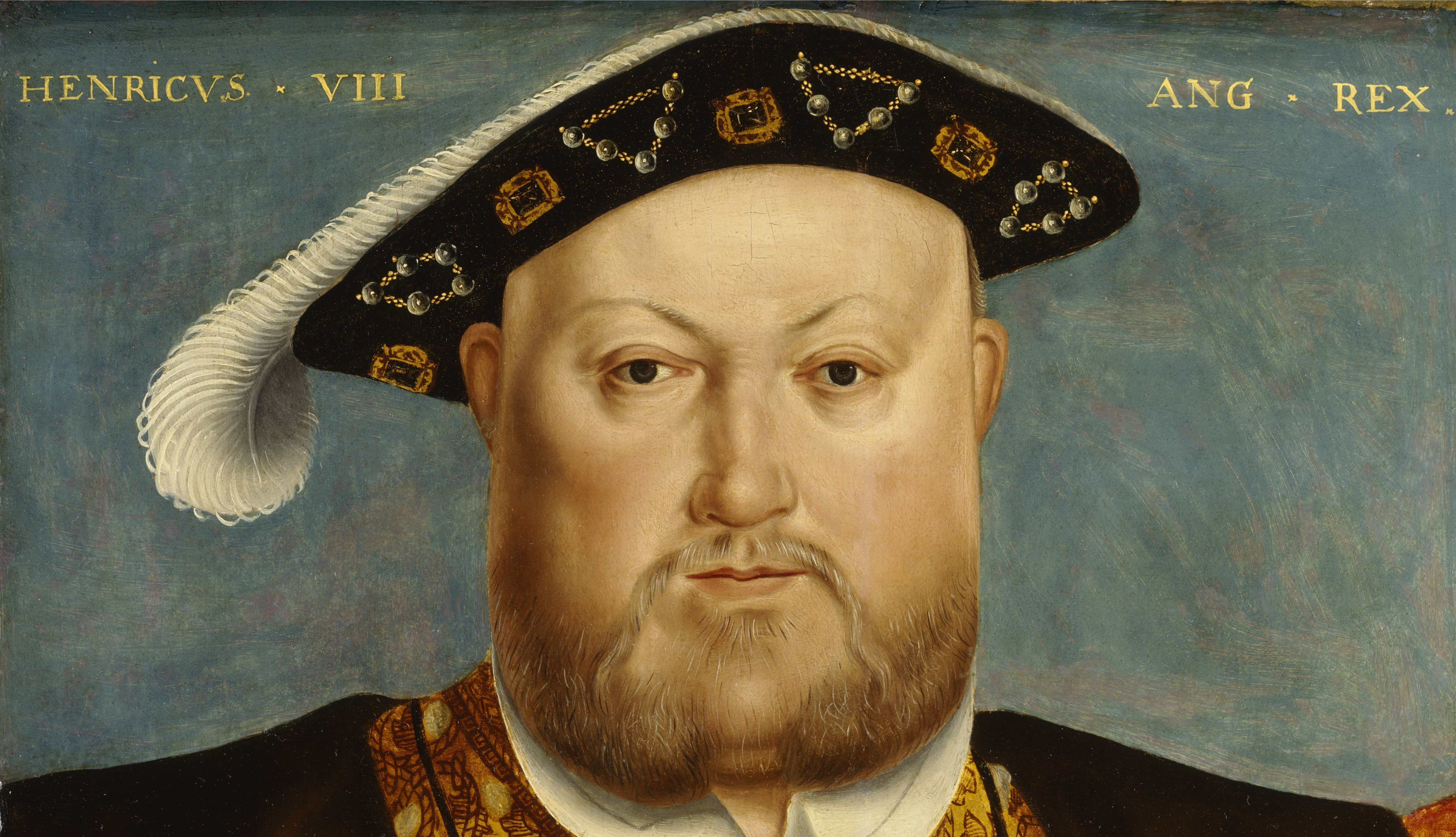 The tudors henry discount vii