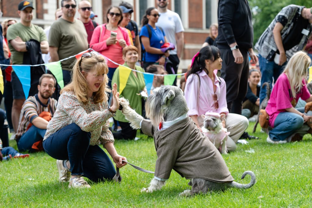 Photo inspiration: Greenwich Dog Show 2026 Photo Inspiration