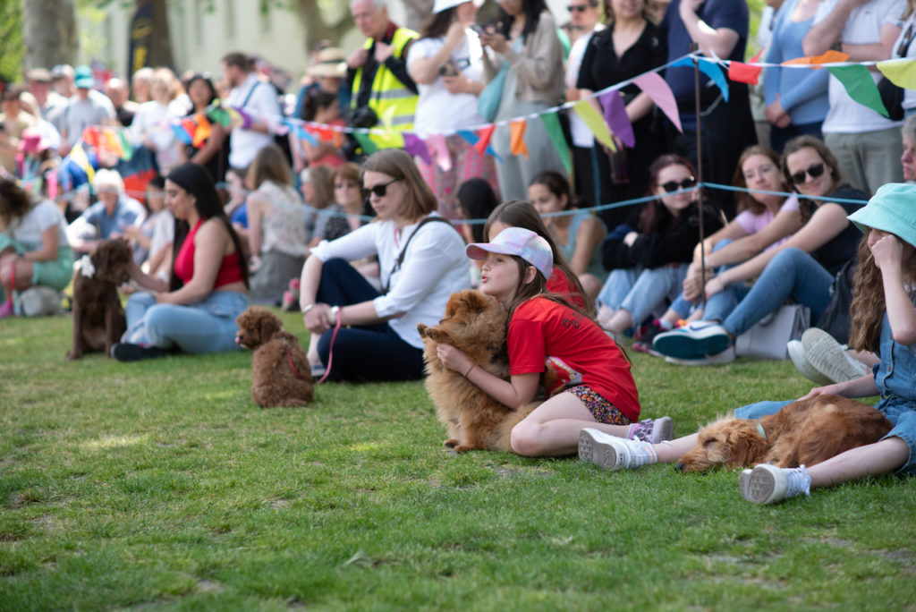 a group of people sitting on grass with a dog