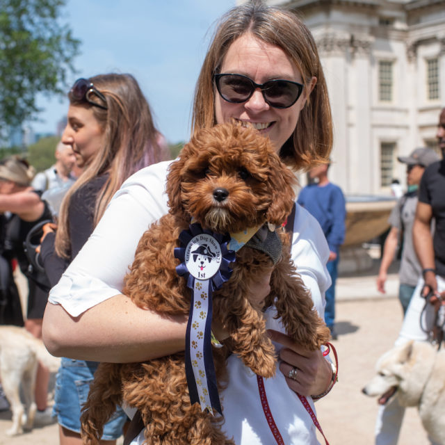 a person holding a dog