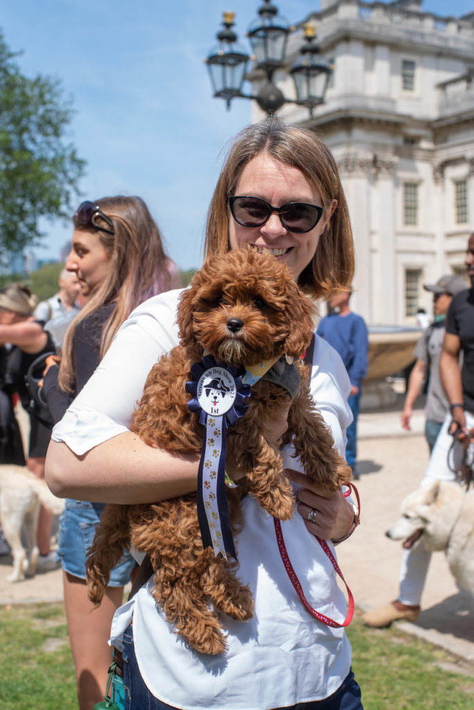 a person holding a dog