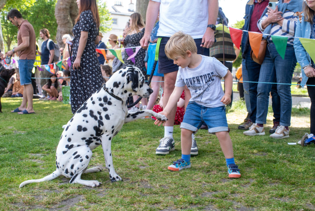 a child reaching for a dog