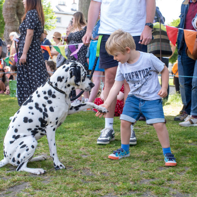 a child reaching for a dog