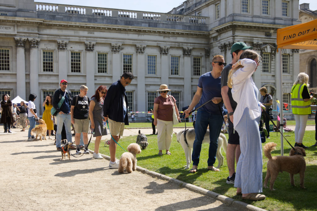 a group of people with dogs