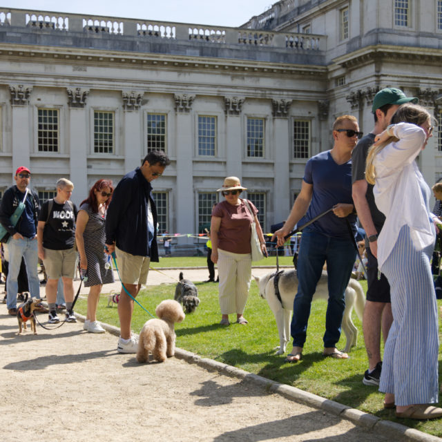 a group of people with dogs